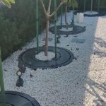 Circular Tree Grating thumbnail 8