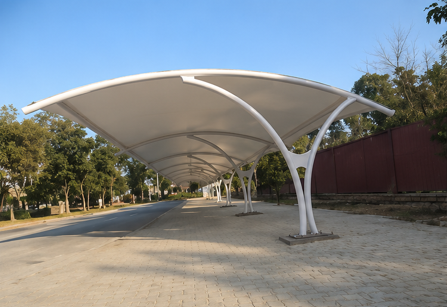 Car Parking Canopy