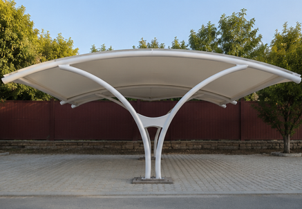 Car Parking Canopy